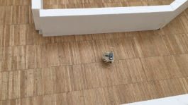 Alejandro Zarza Aguado