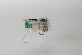 Alejandro Zarza Aguado